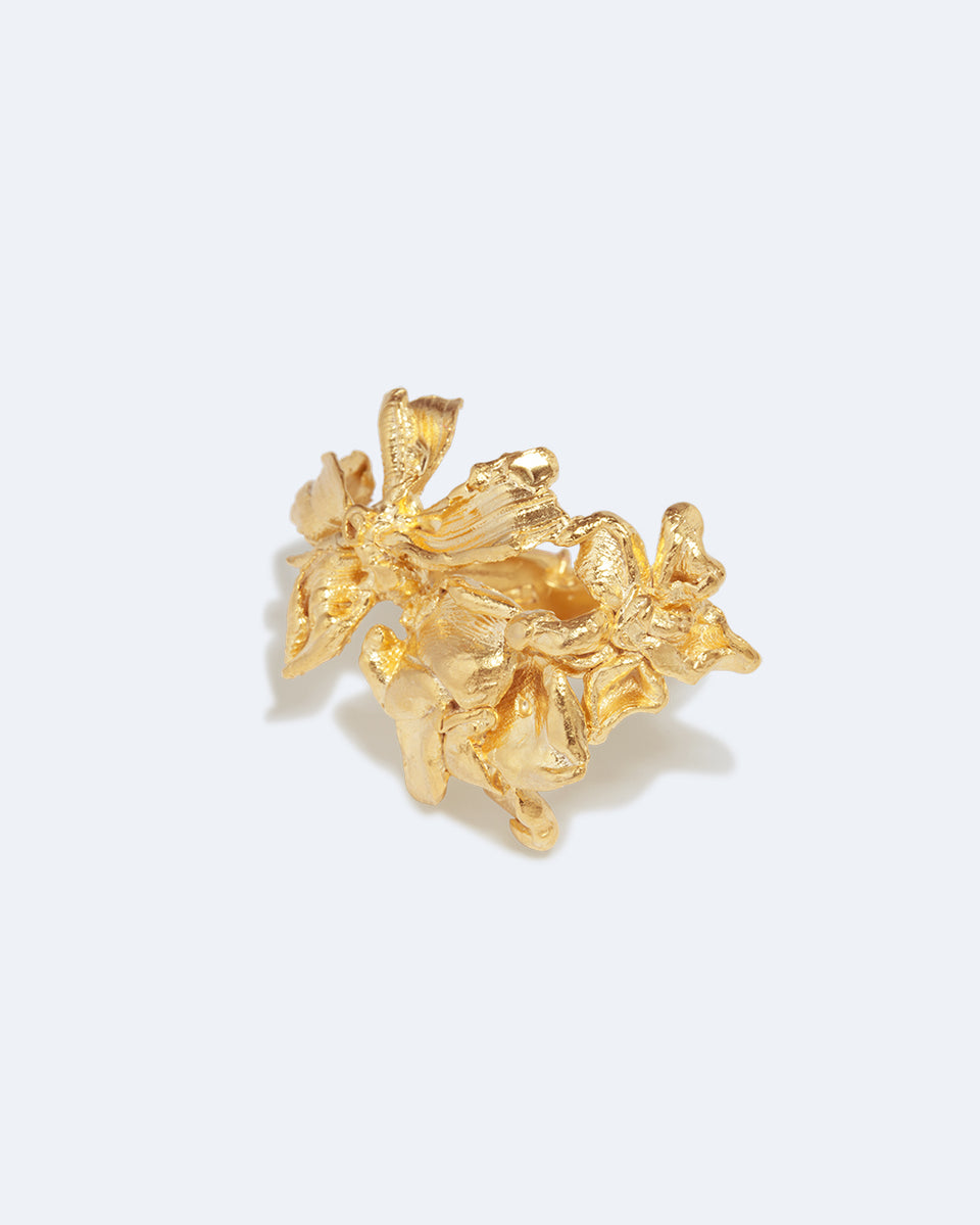 In a Perfect World - Gold Plated Ring