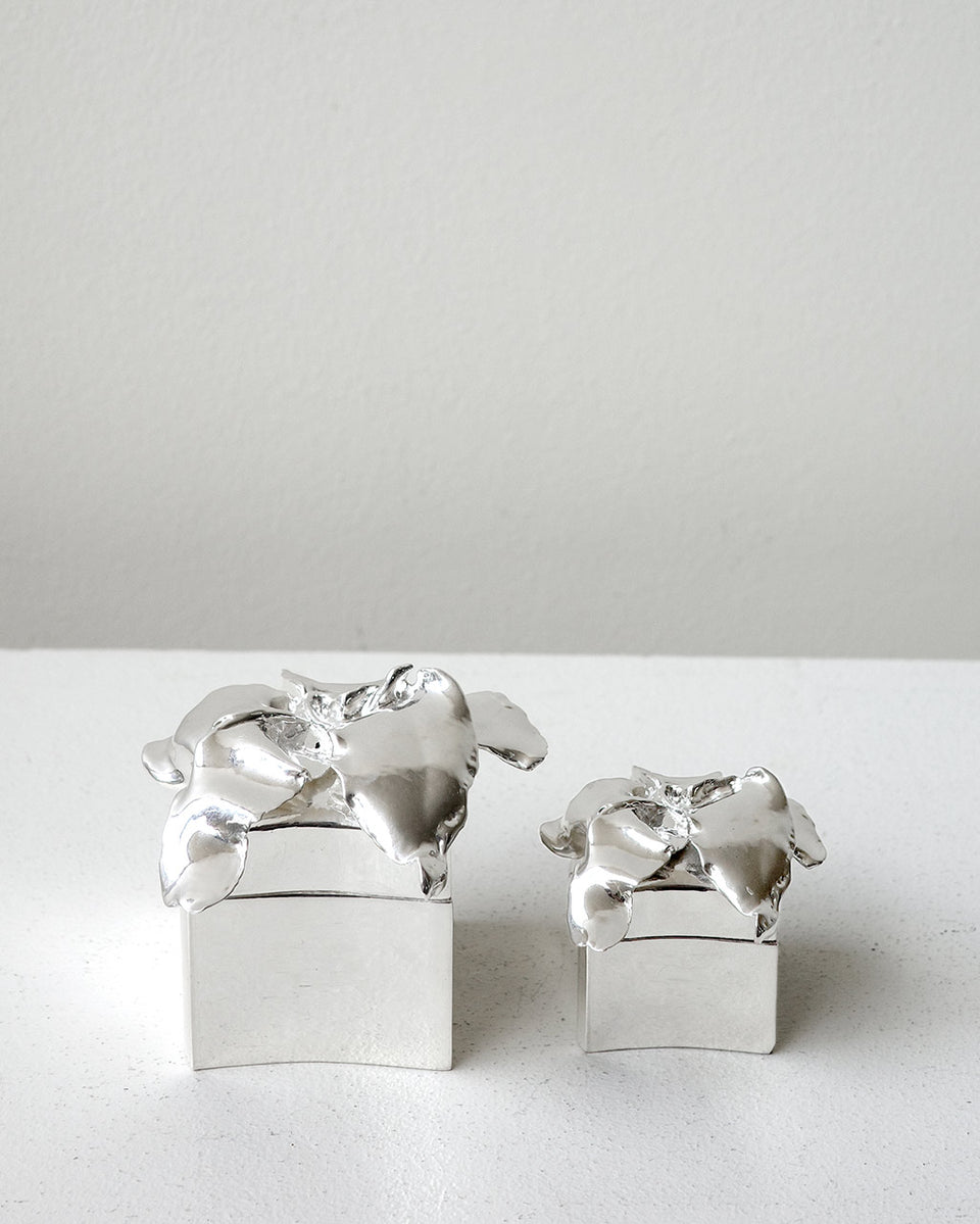 Small Flower Trinket Box - Jewellery Box in Silver