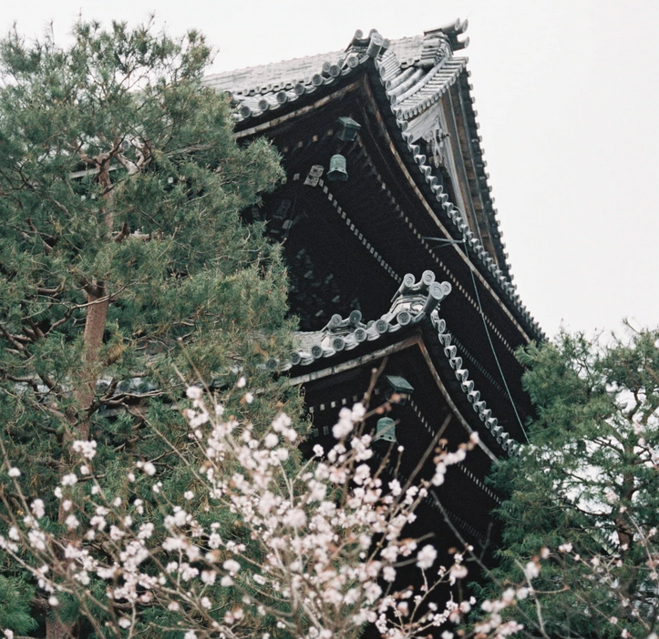 Landscapes: Parts Of Japan