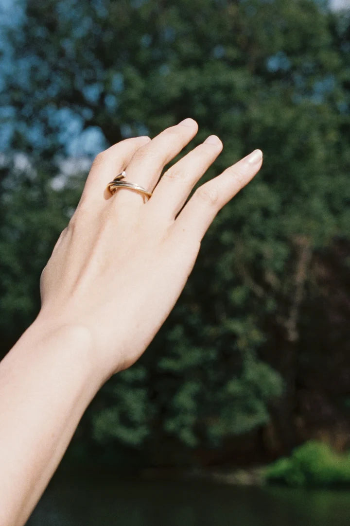 Fine Rings