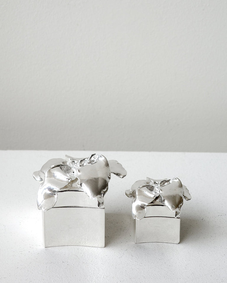 Small Flower Trinket Box - Jewellery Box in Silver