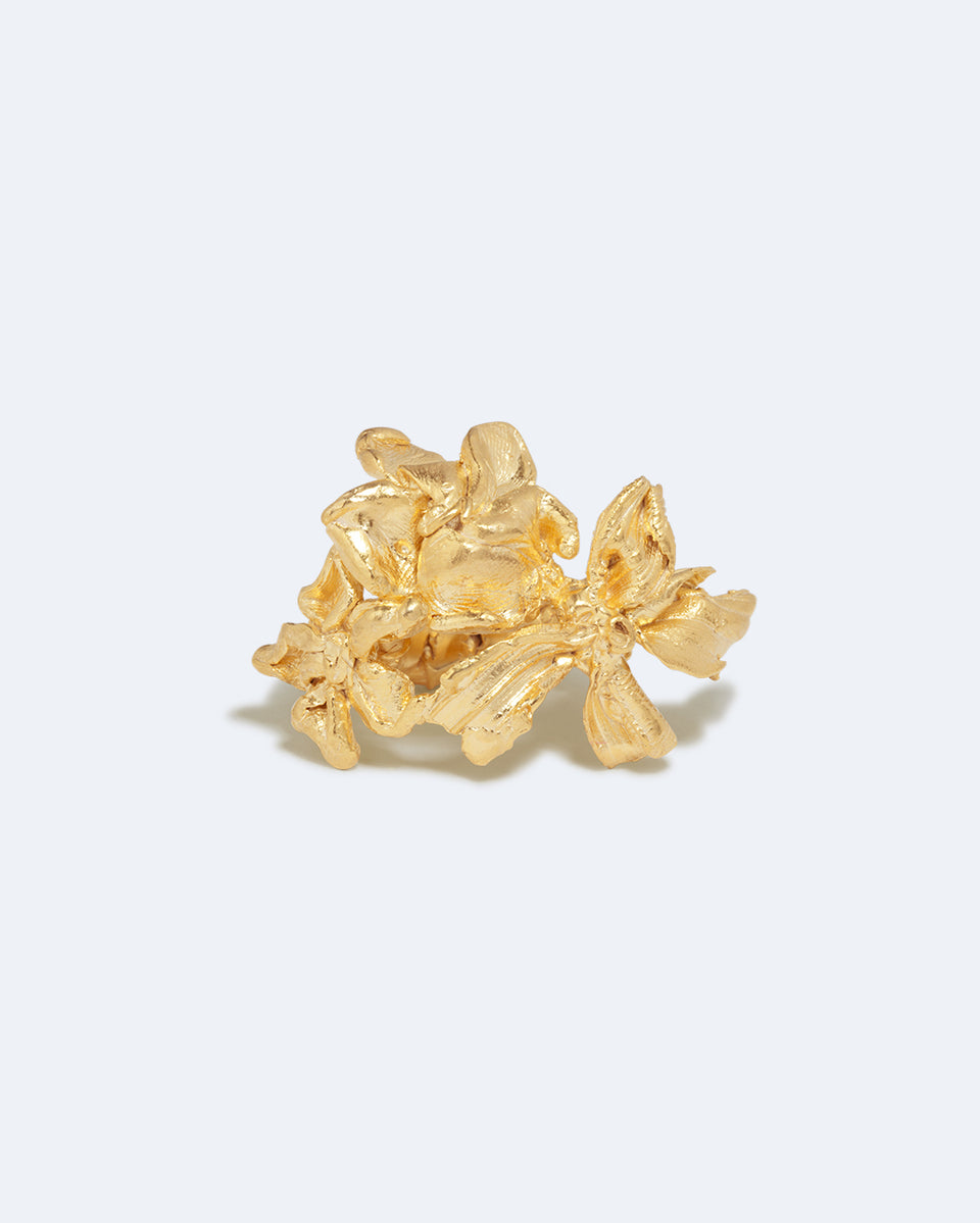 In a Perfect World - Gold Plated Ring