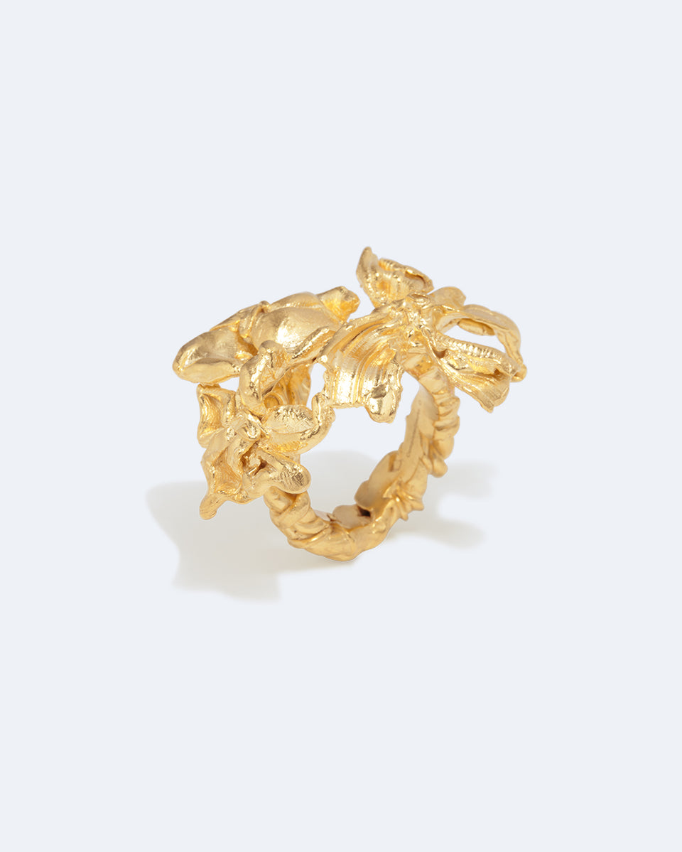 In a Perfect World - Gold Plated Ring