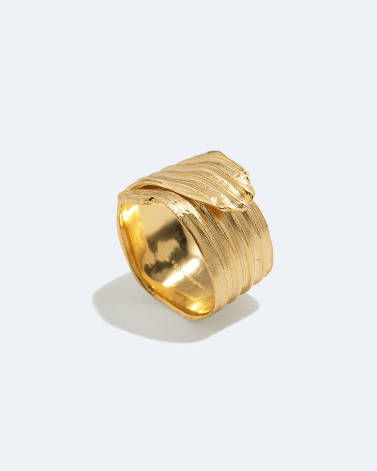 Destiny’s Tributaries - Gold Plated Ring