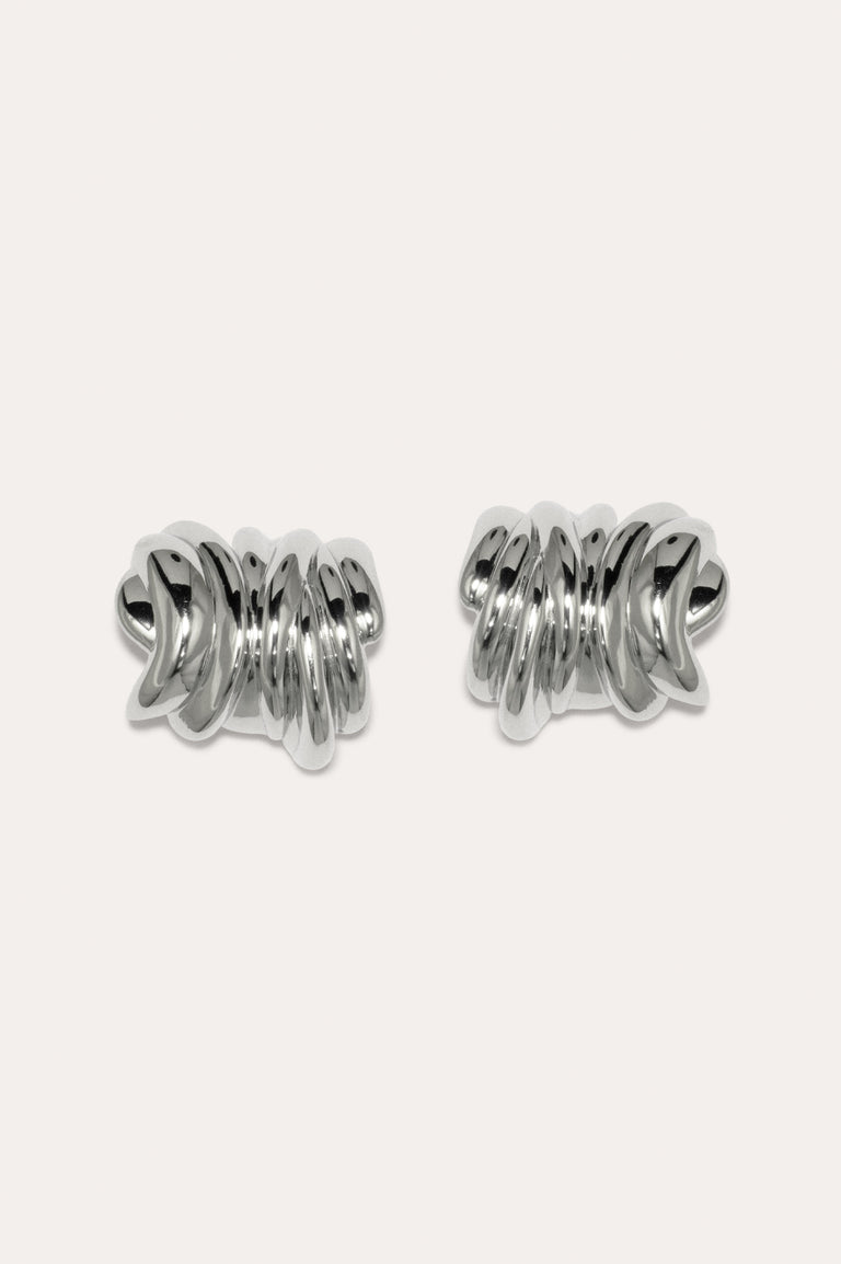 Wings - Platinum Plated Earrings